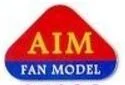 AIM -Fan Modell