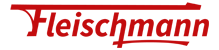 Fleischmann