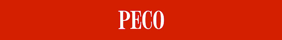 Peco Spur H0m Gleise Finescale Code 75